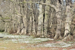 DSC_0205-2